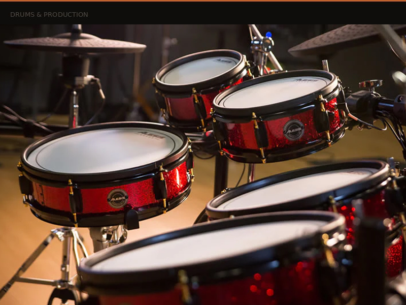 Alesis Strike Pro SE